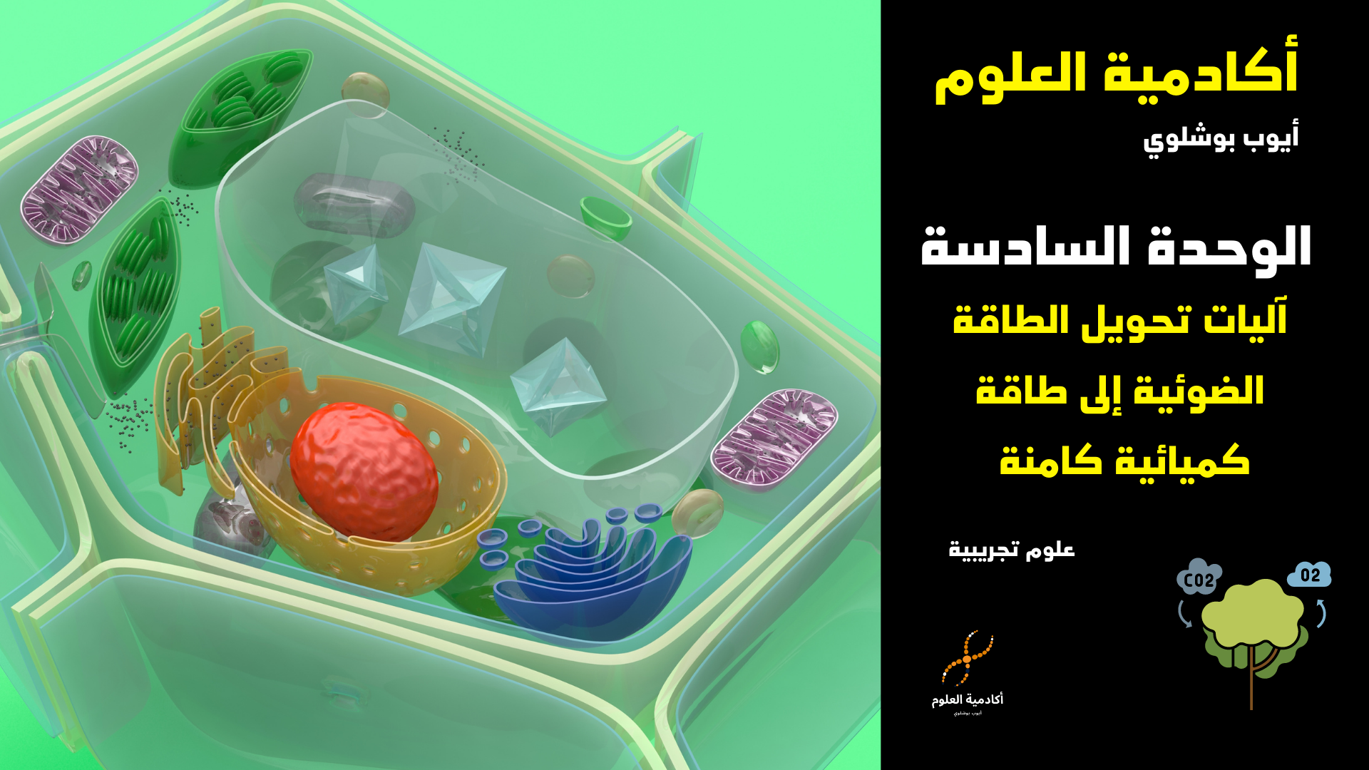 أول وأكبر مدرسة إلكترونية مختصة في تدريس العلوم الطبيعية بطريقة فريدة وأسلوب عصري