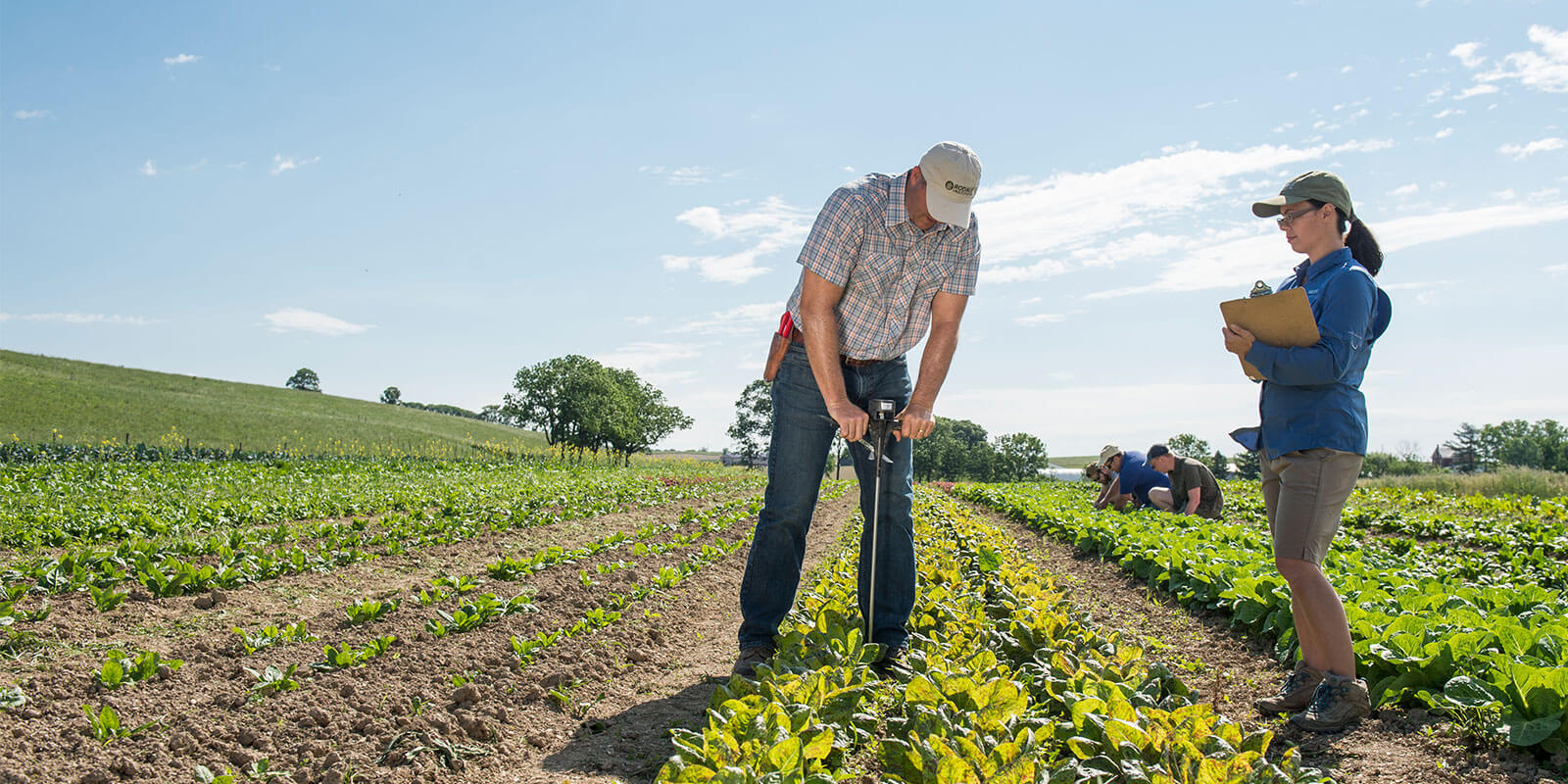 Rodale Institute farmers & researchers working in organic fields