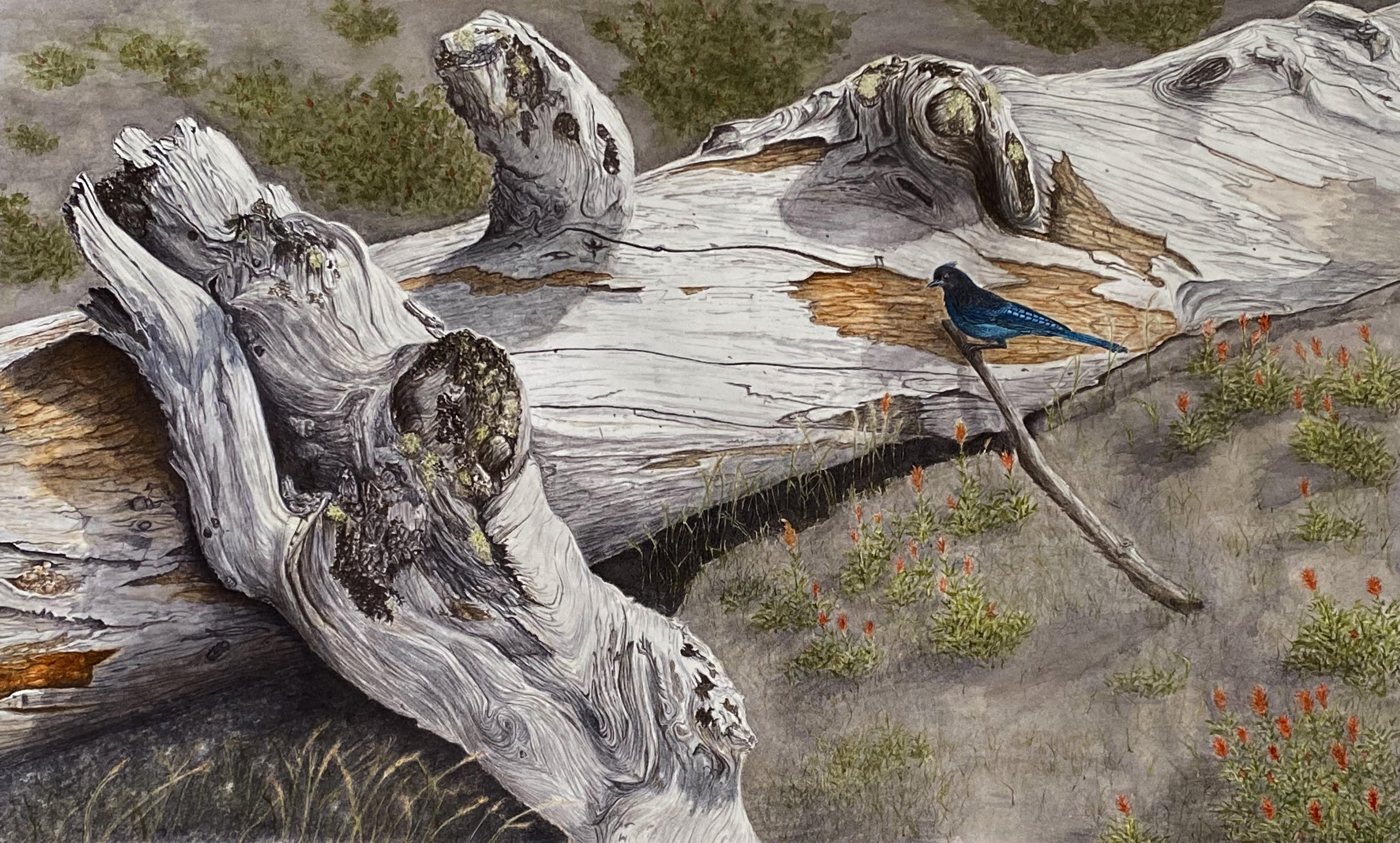 Watercolor painting of a bird on a log, testimonial from student, Katharina Robinson of RL Caldwell Studio