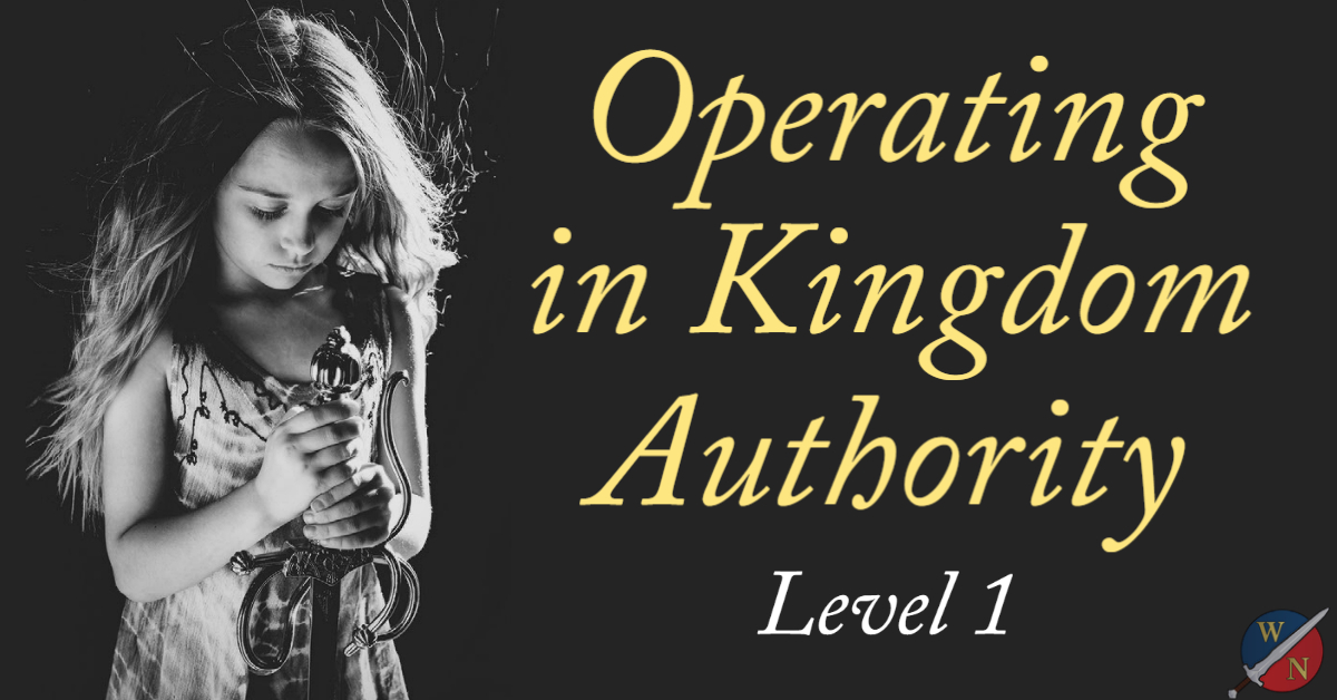 Operating in Kingdom Authority by Kevin Zadai