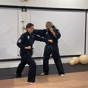 Pair of instructors in kung fu uniforms demonstrating a punch and block sequence.