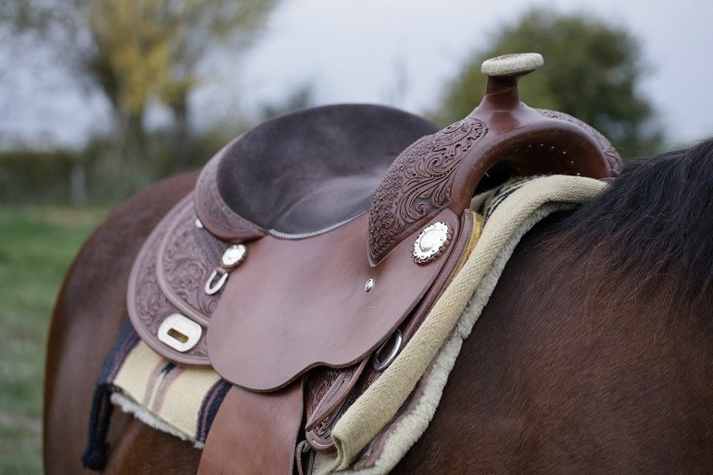 English Saddles For Sale