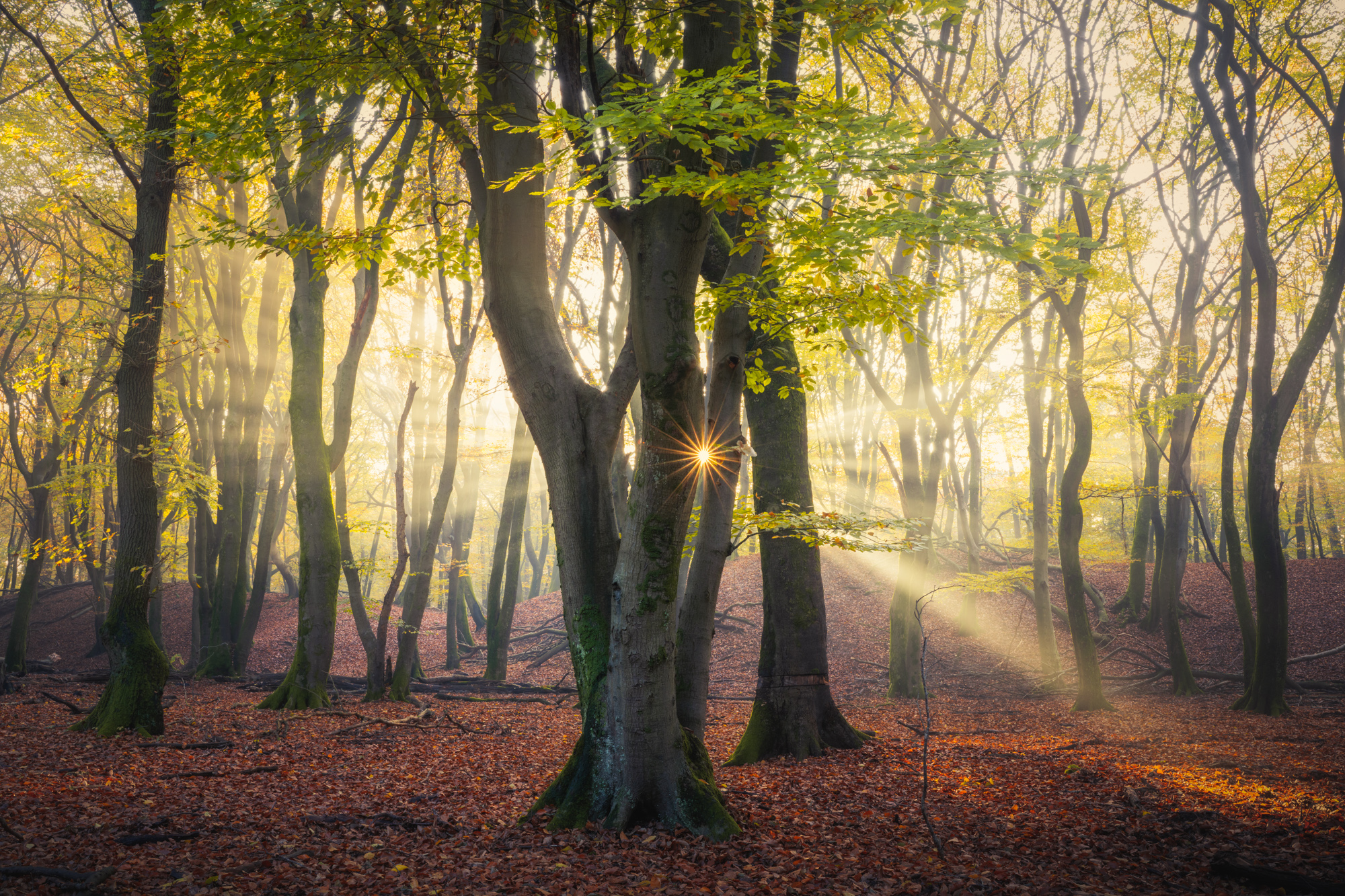 Albert Dros - Full Editing Course On Landscape Photography