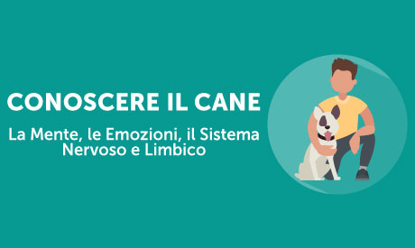 Corso-Online-Conoscere-il-Cane-La-Mente-le-Emozioni-il-Sistema-Nervoso-e-Limbico-Life-Learning