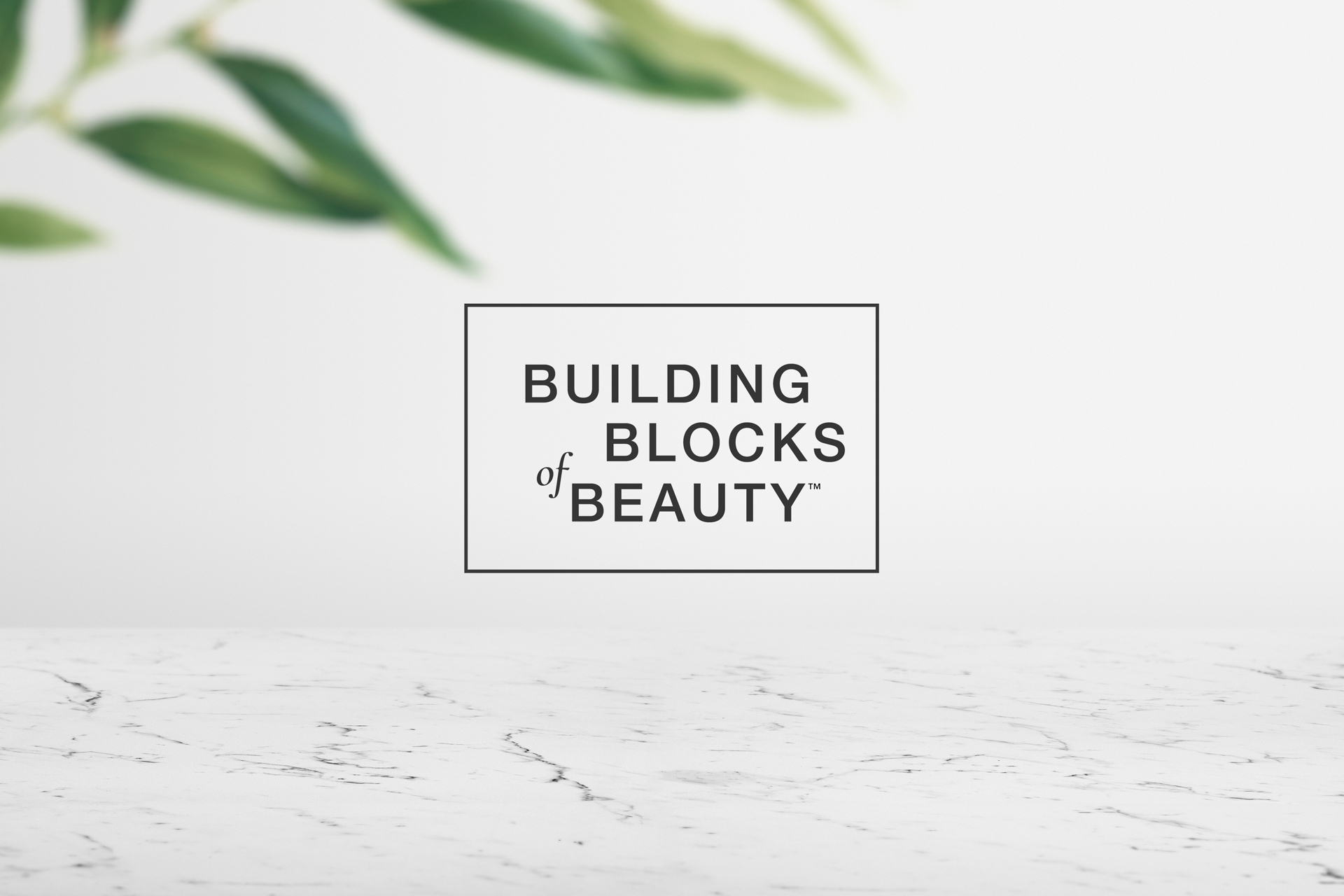 Building Blocks of Beauty ECourse