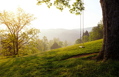 A green hillside with a swing hanging from a tree