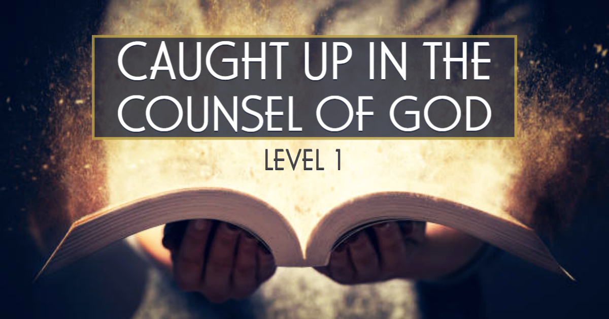 Caught Up in the Counsel of God Level 1 course image