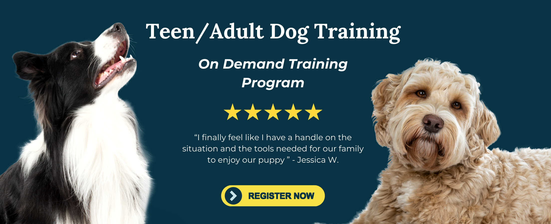 a photo of two dogs representing an online dog training program for teen and adult dogs from fearless pet