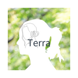 プログラム開発者_Terra