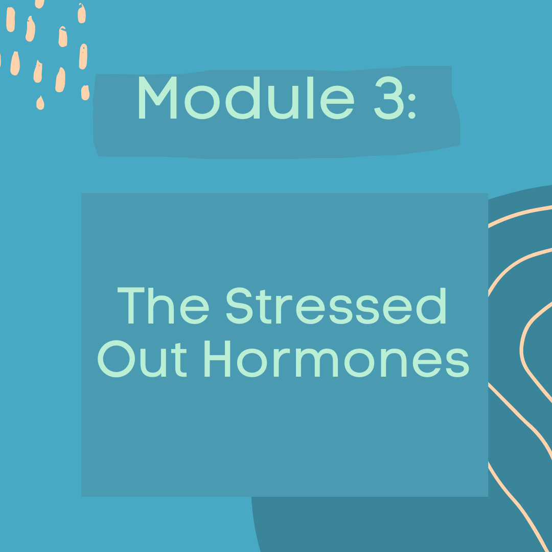 Module 3: Nutrition for Stress Relief - How Food Negatively Impacts Stress Levels