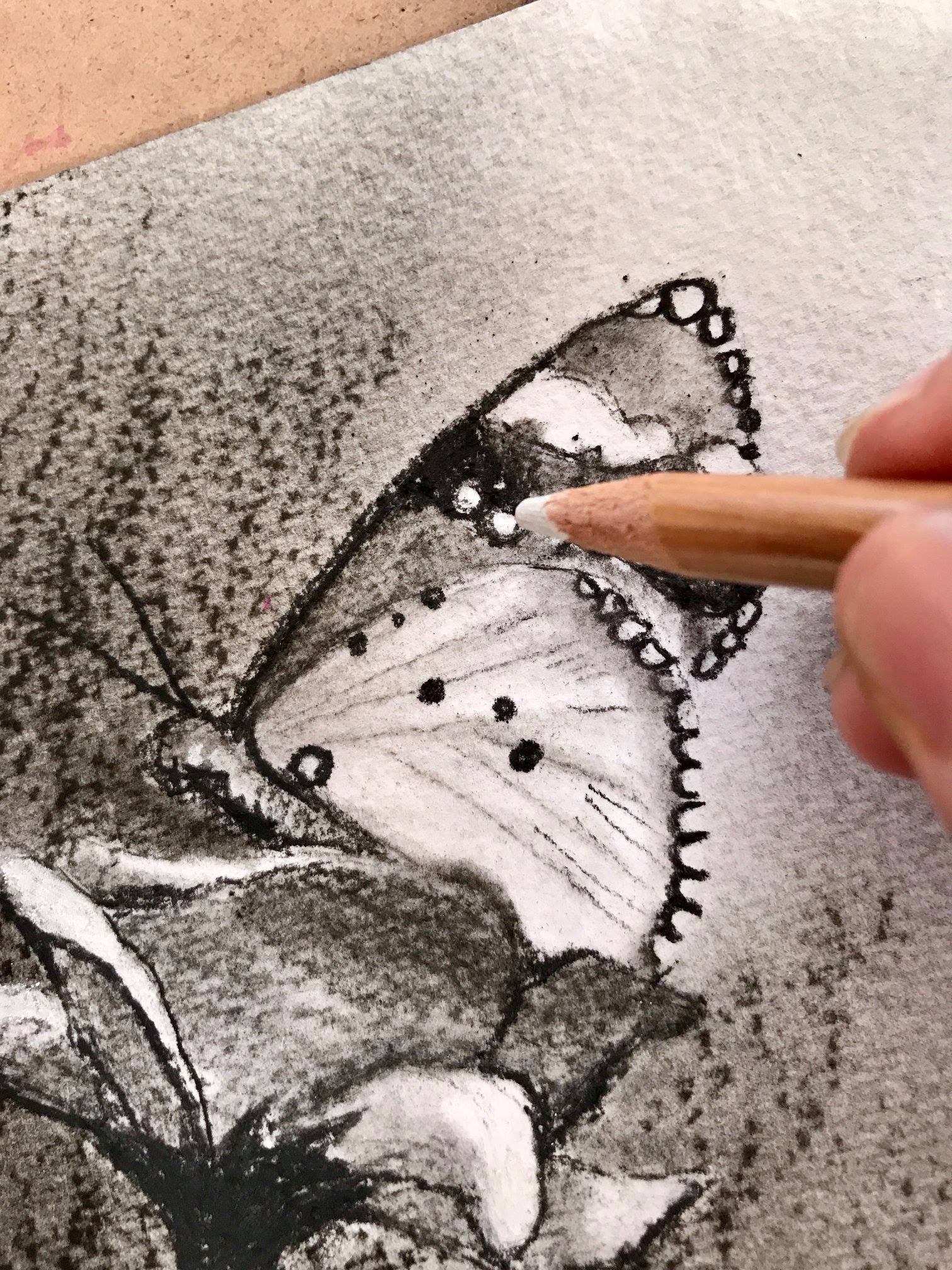 Charcoal Chalk Butterfly Still Life Drawing