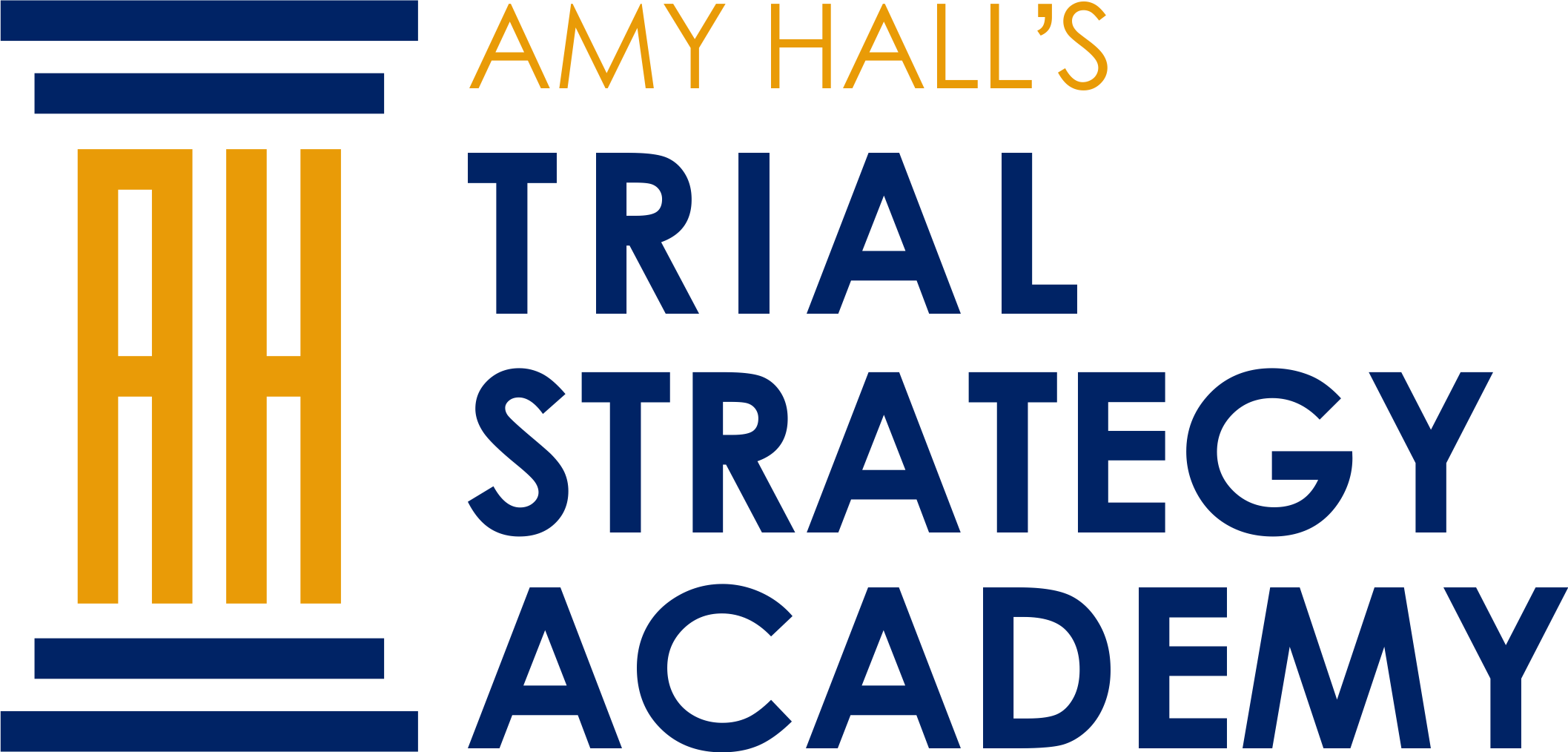 Amy Halls Trial Strategy Academy
