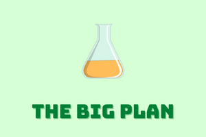 1. The big plan