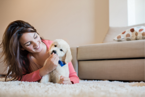 virtual puppy training