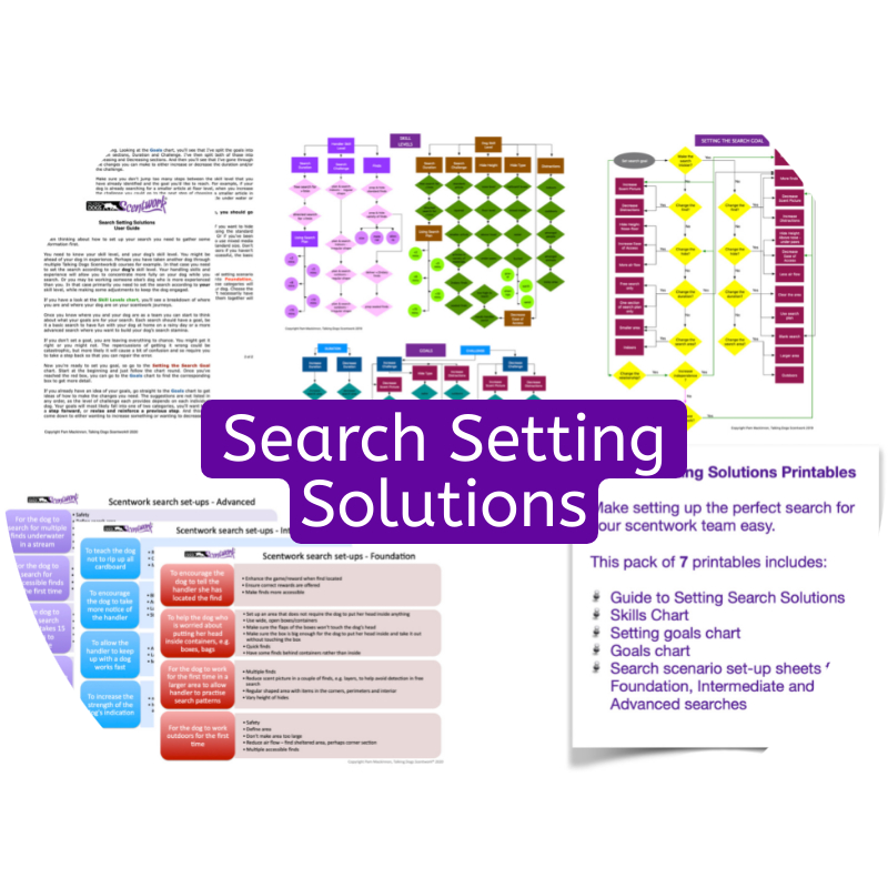 search setting solutions printables