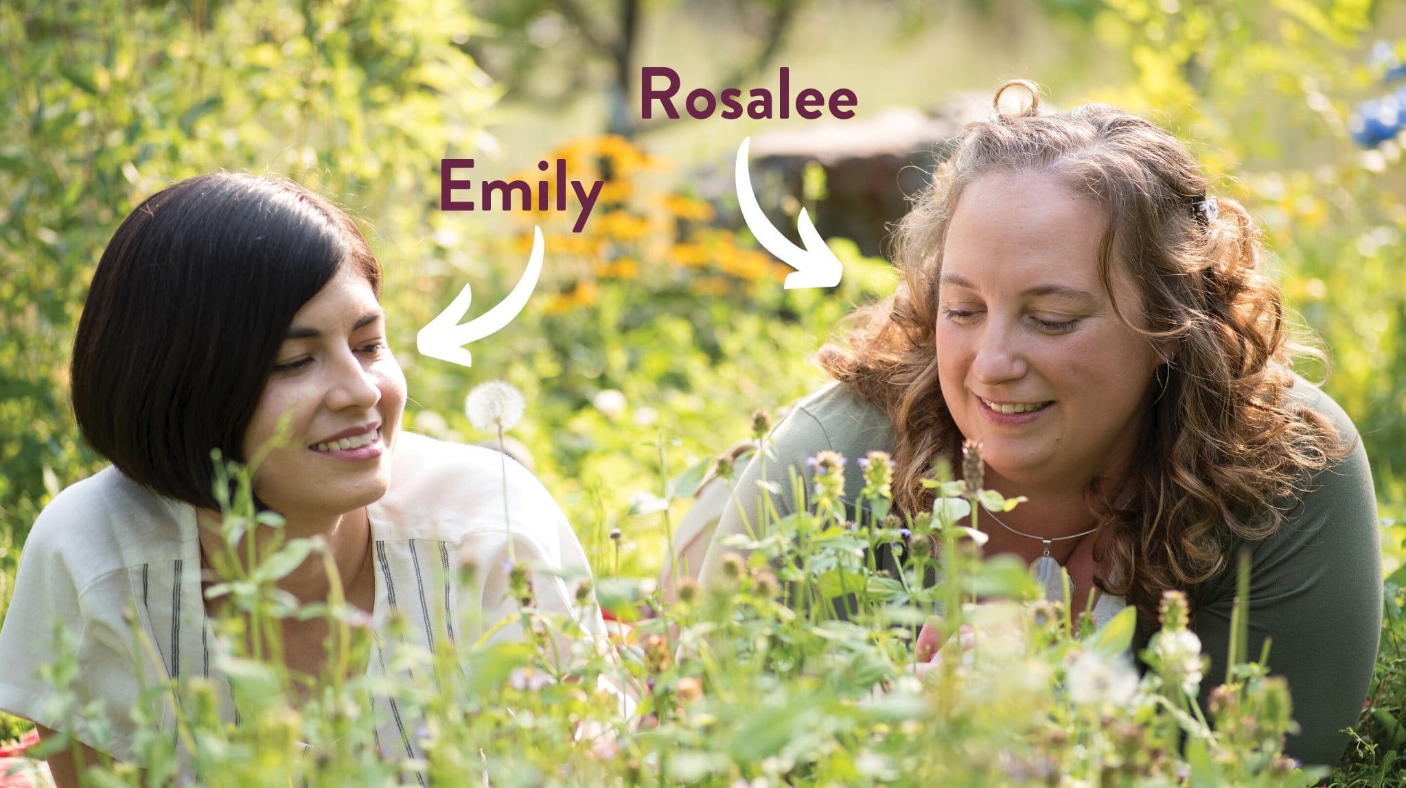 Emily and Rosalee lying in a bed of dandelions and self-heal