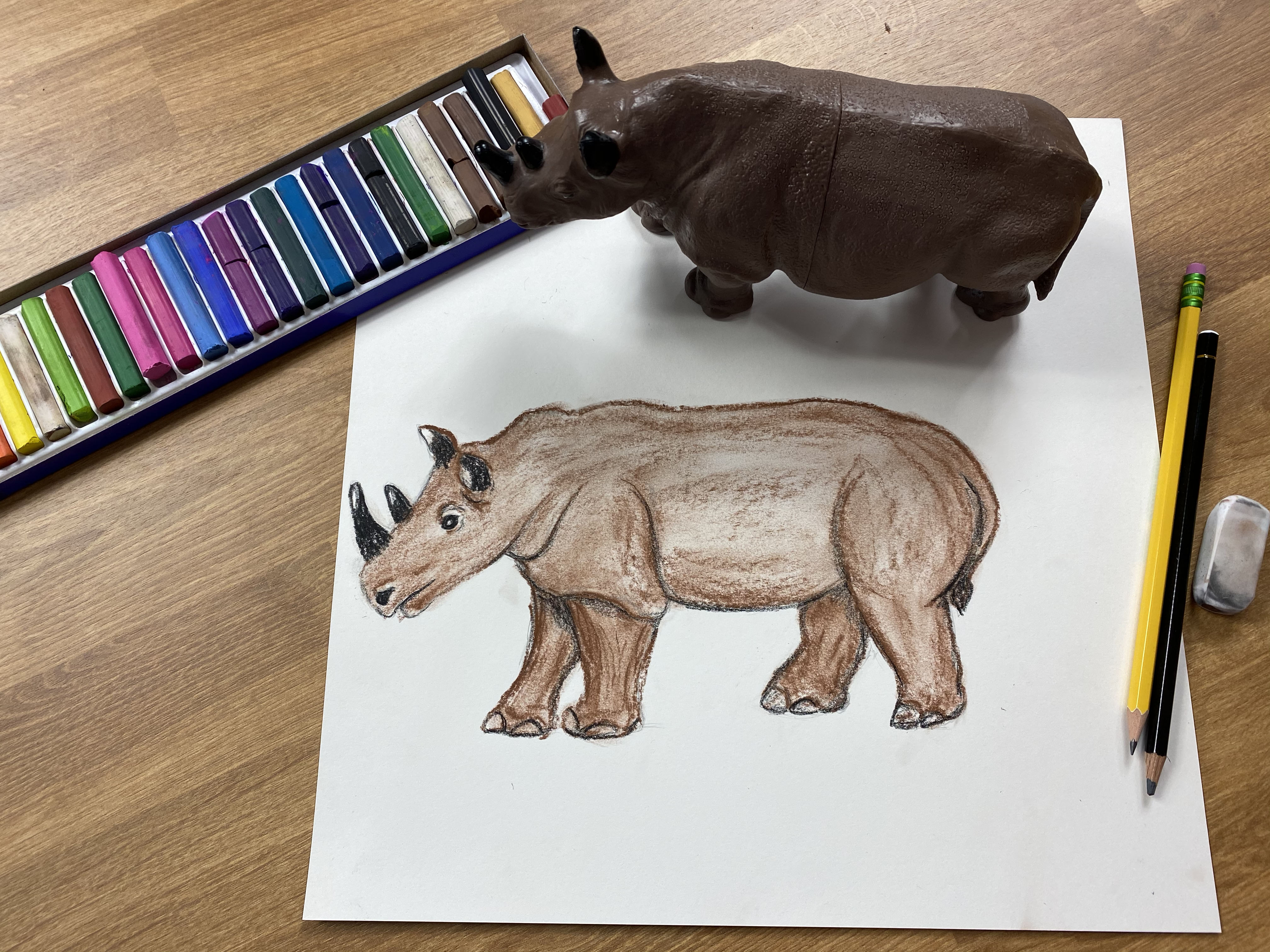 Animal Form Drawing