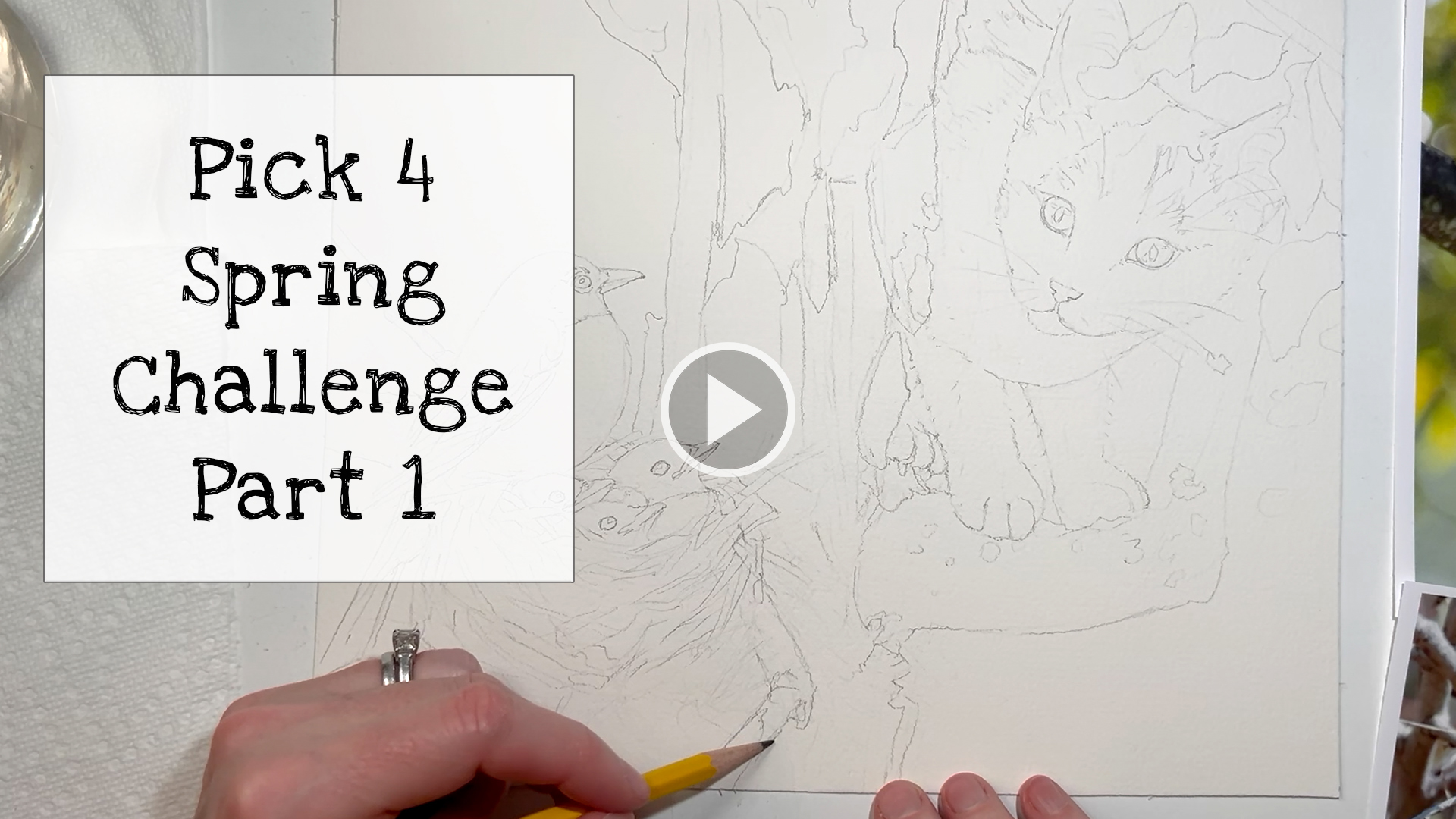 Monthly Design Challenge