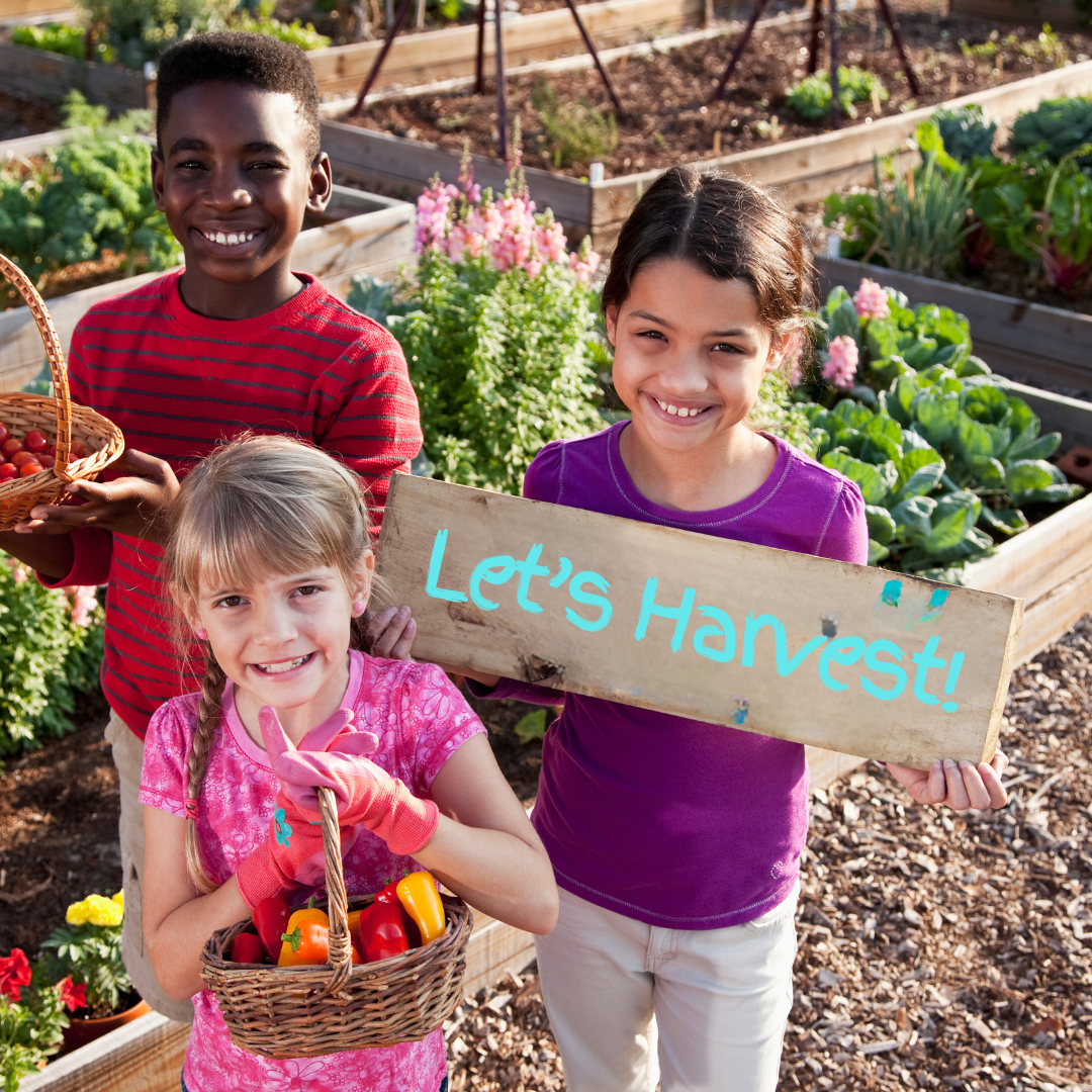 children with fruit basket and Lets Harvest sign