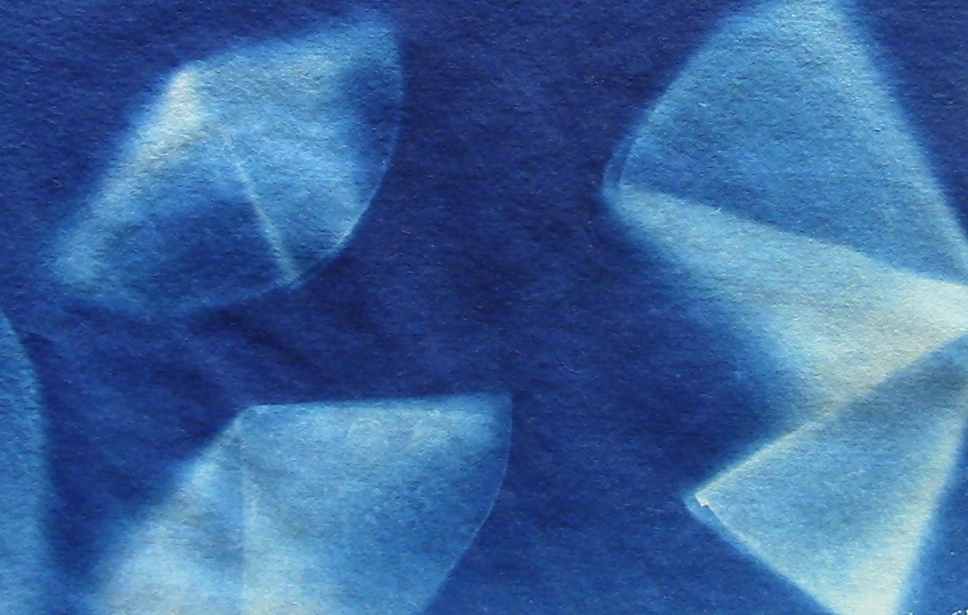 Finding Presence: Art of Cyanotype