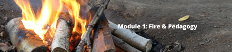 fire and pedagogy online course