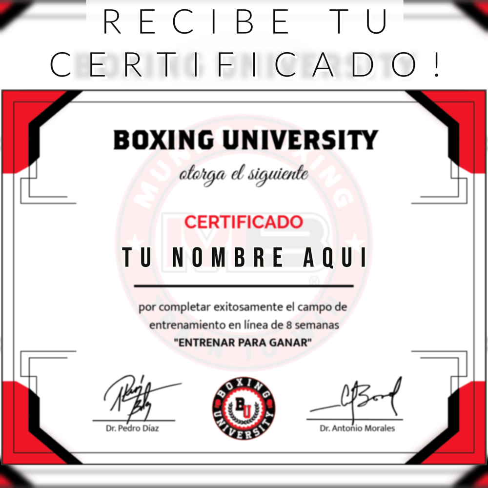 Certificado Boxing University