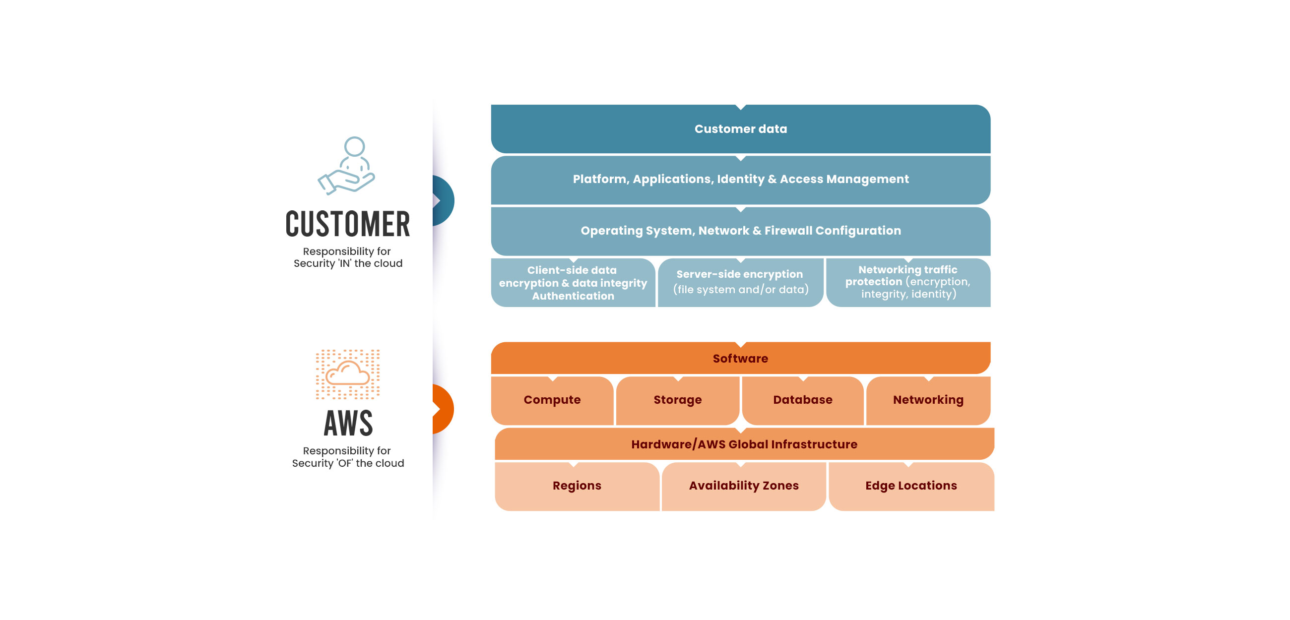 The Seven Layers of the OSI Model