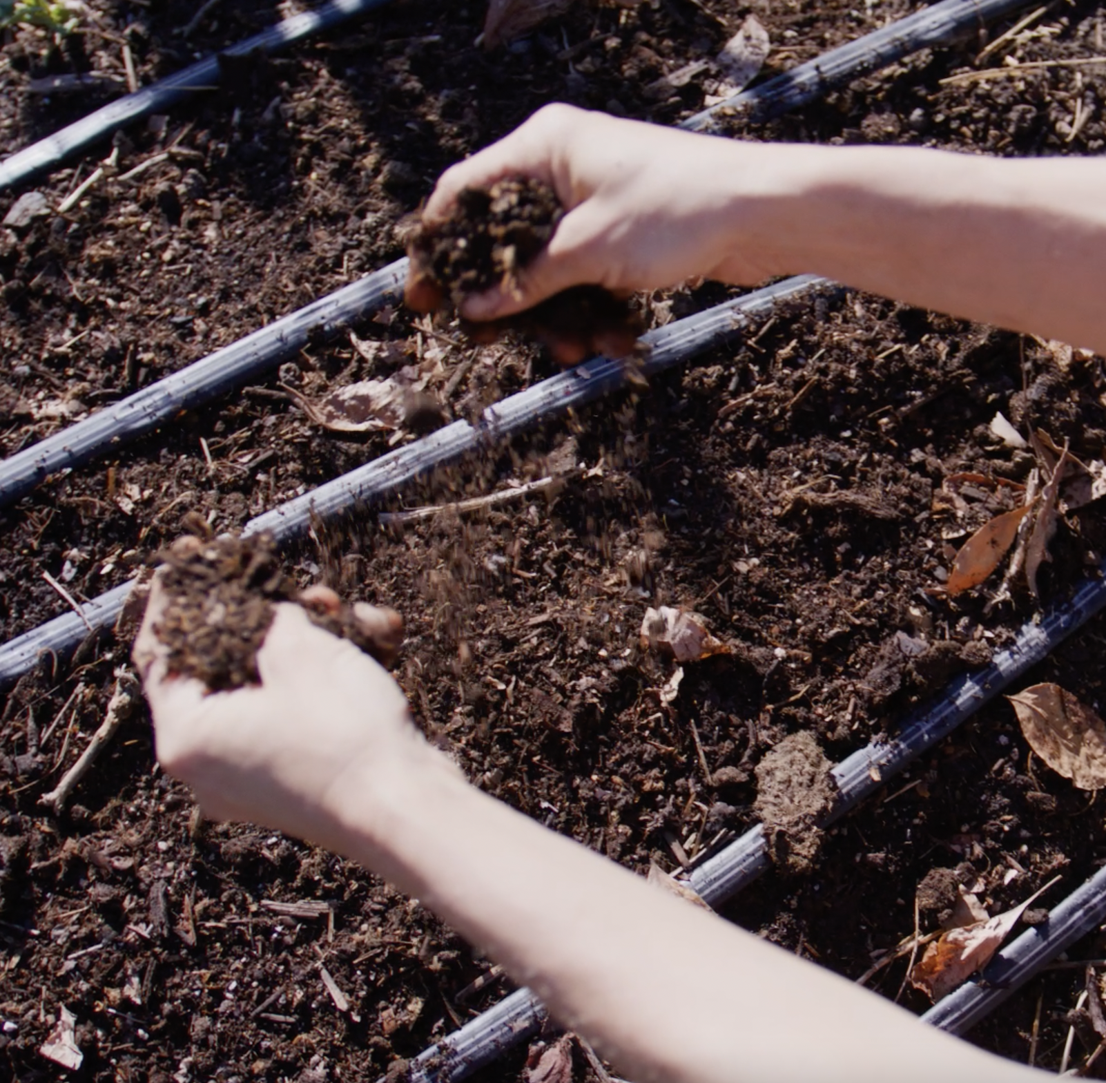 building garden soil