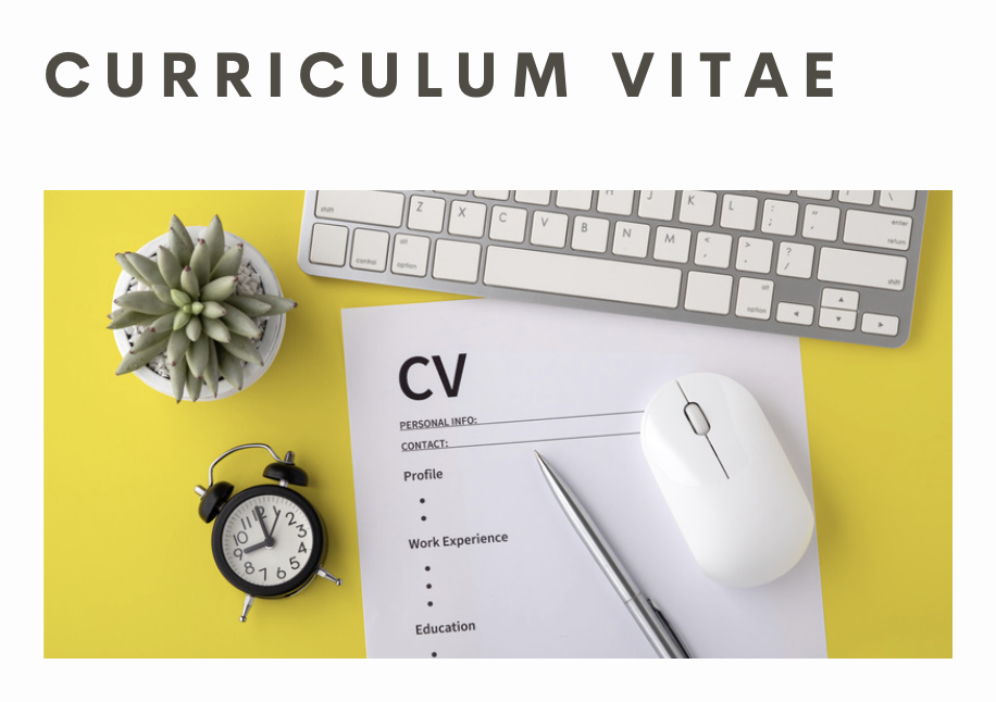 how to write an artist curriculum vitae