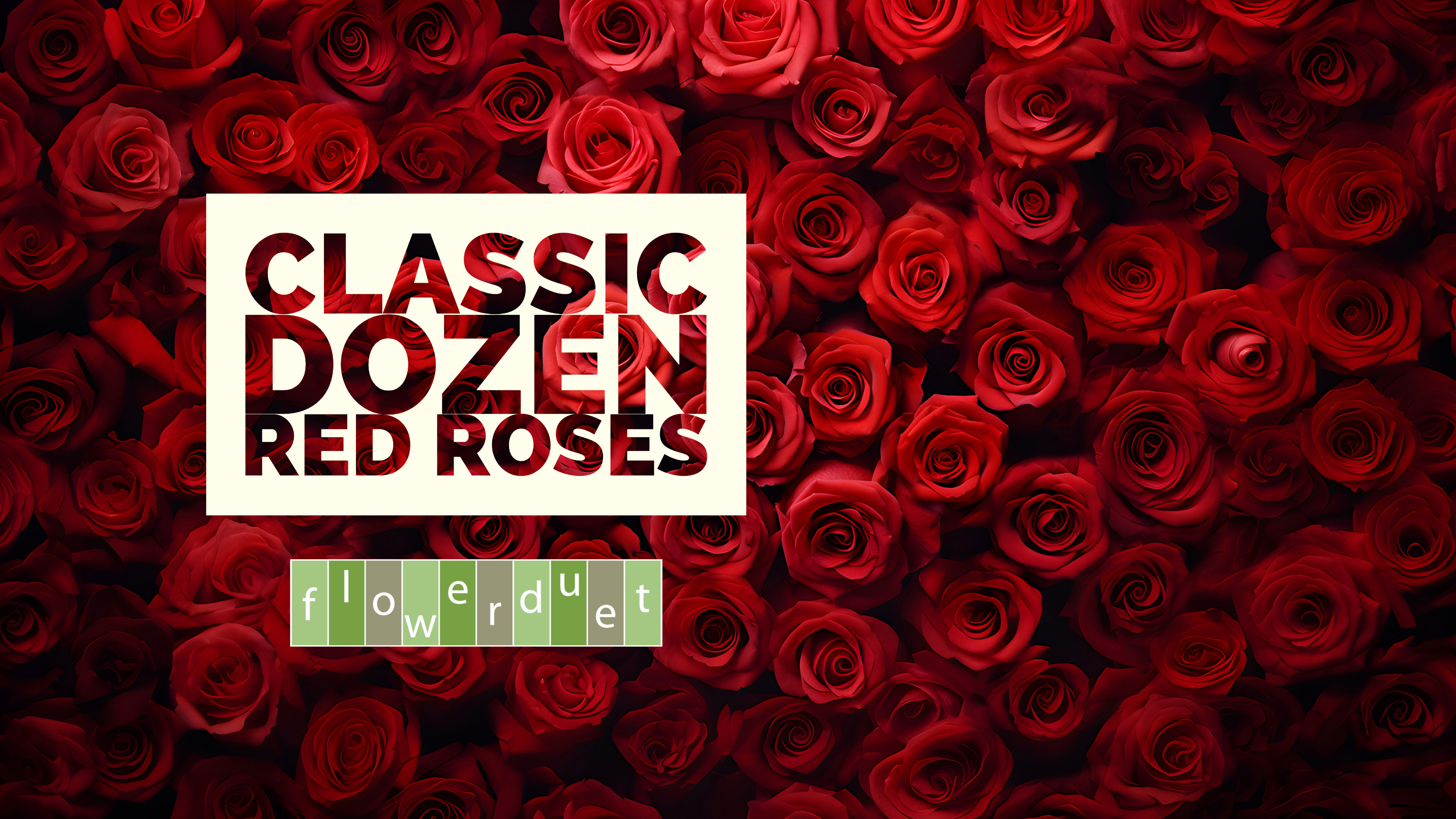 Red Roses with Classic Dozen Red Roses