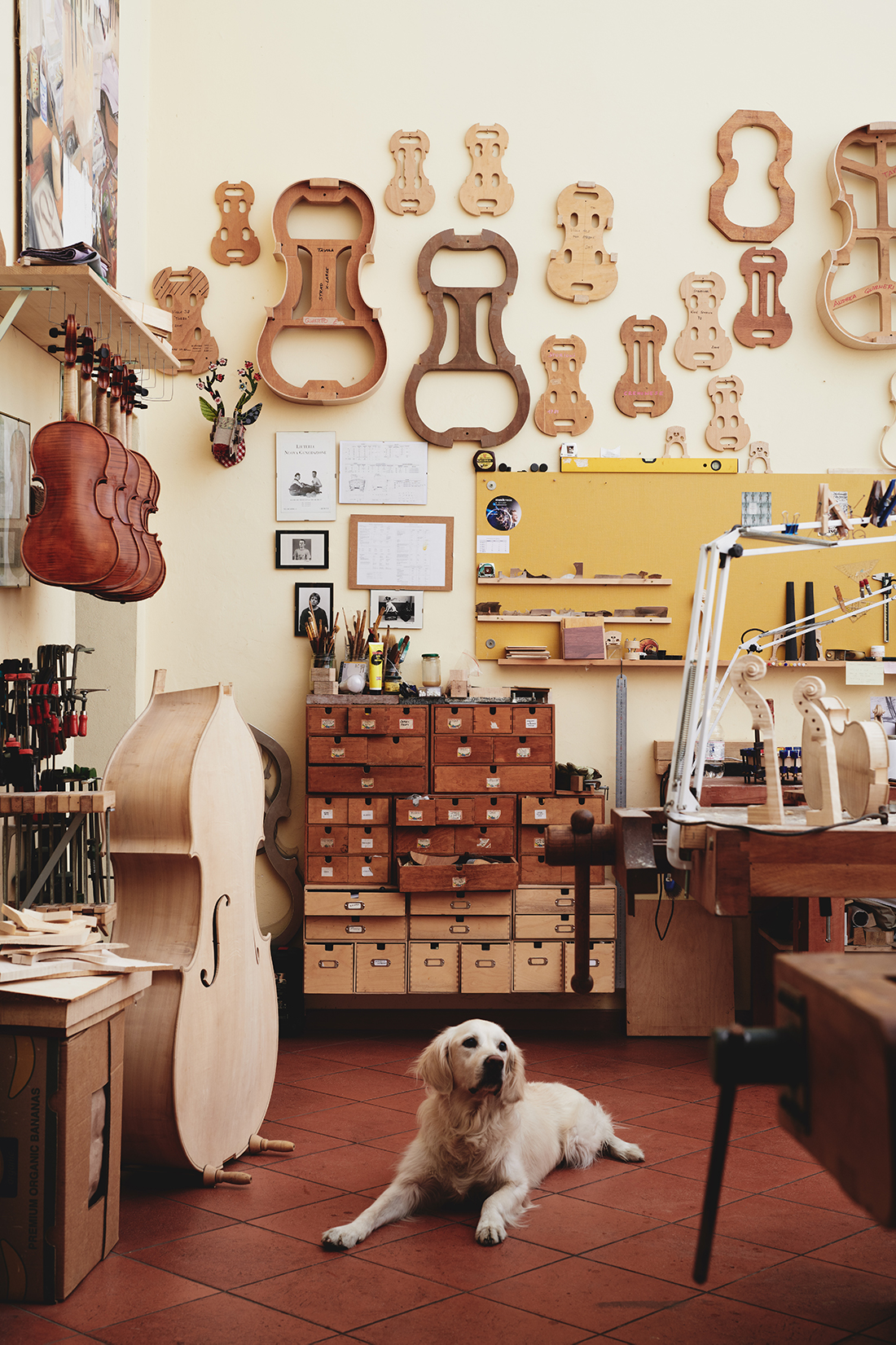 Edgar’s Online Violinmaking Academy