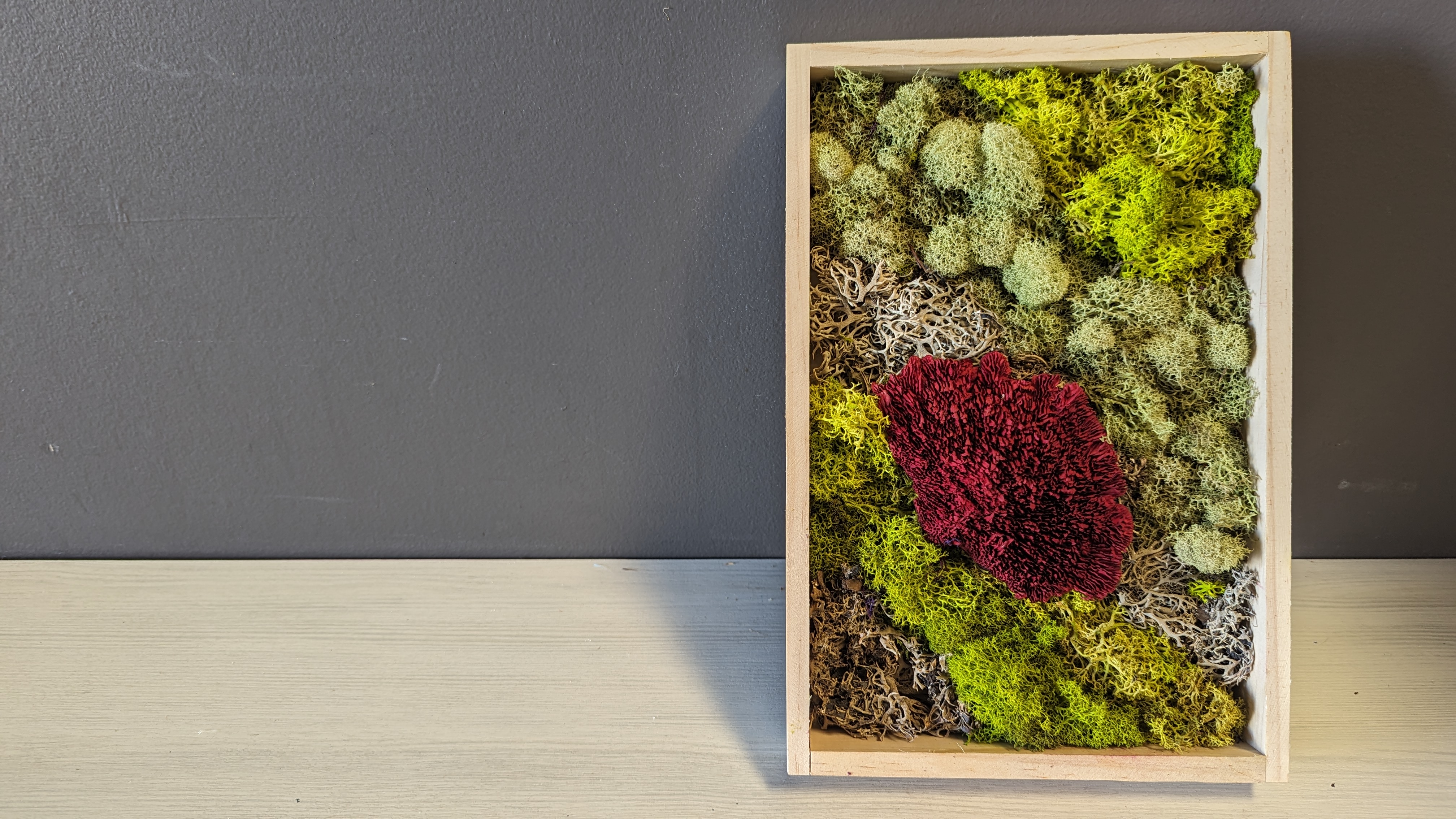 Reindeer Moss Frame