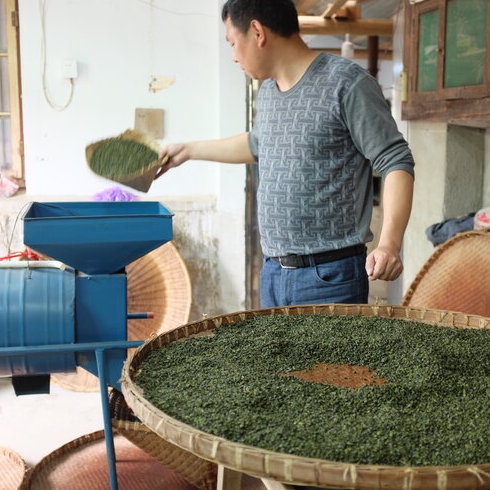 huo qing green tea