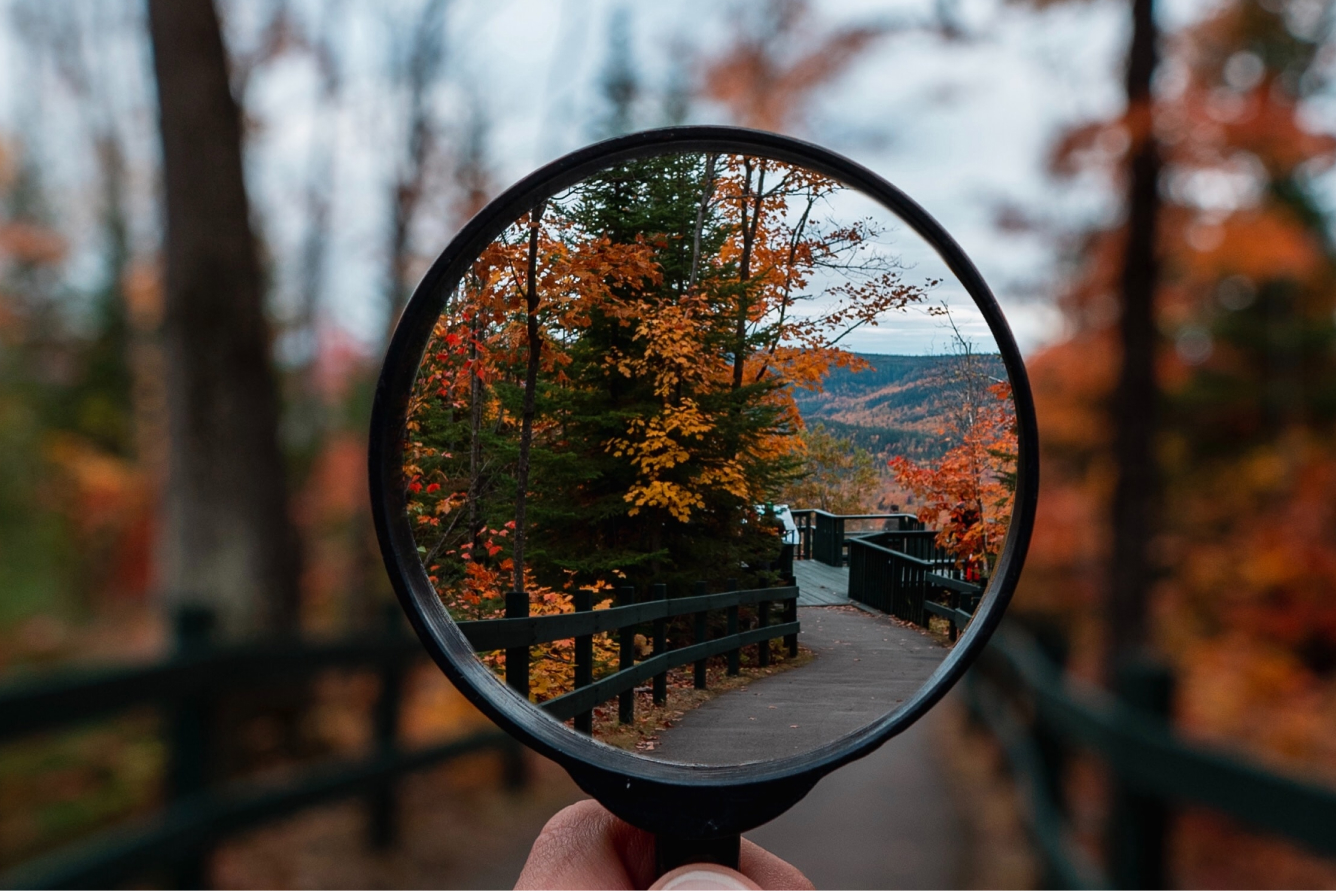 A magnifying glass looks through to an autumn forest