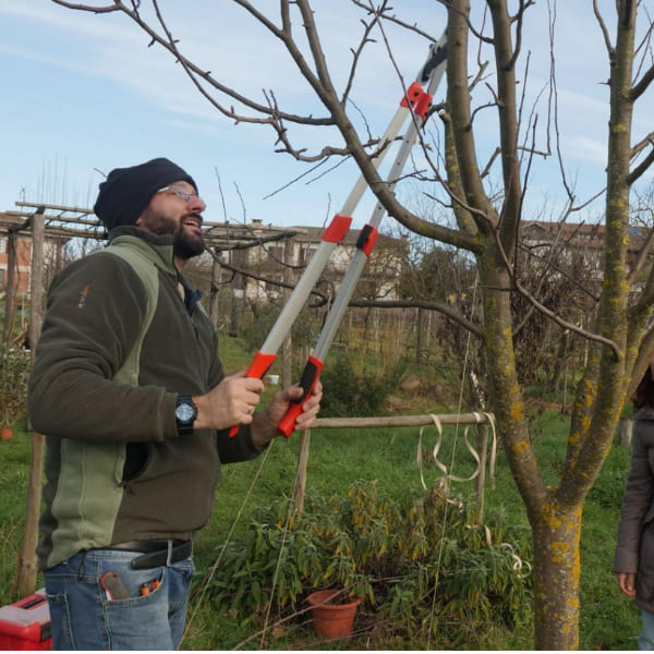 Potatura facile. Il manuale illustrato di «Orto da coltivare» sugli alberi  da frutto - Matteo Cereda, Pietro Isolan