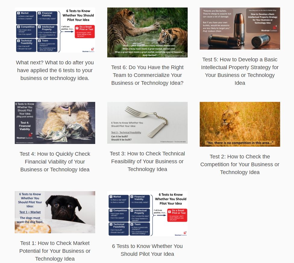 Image of blog posts on 6 tests to know whether you should pilot your idea