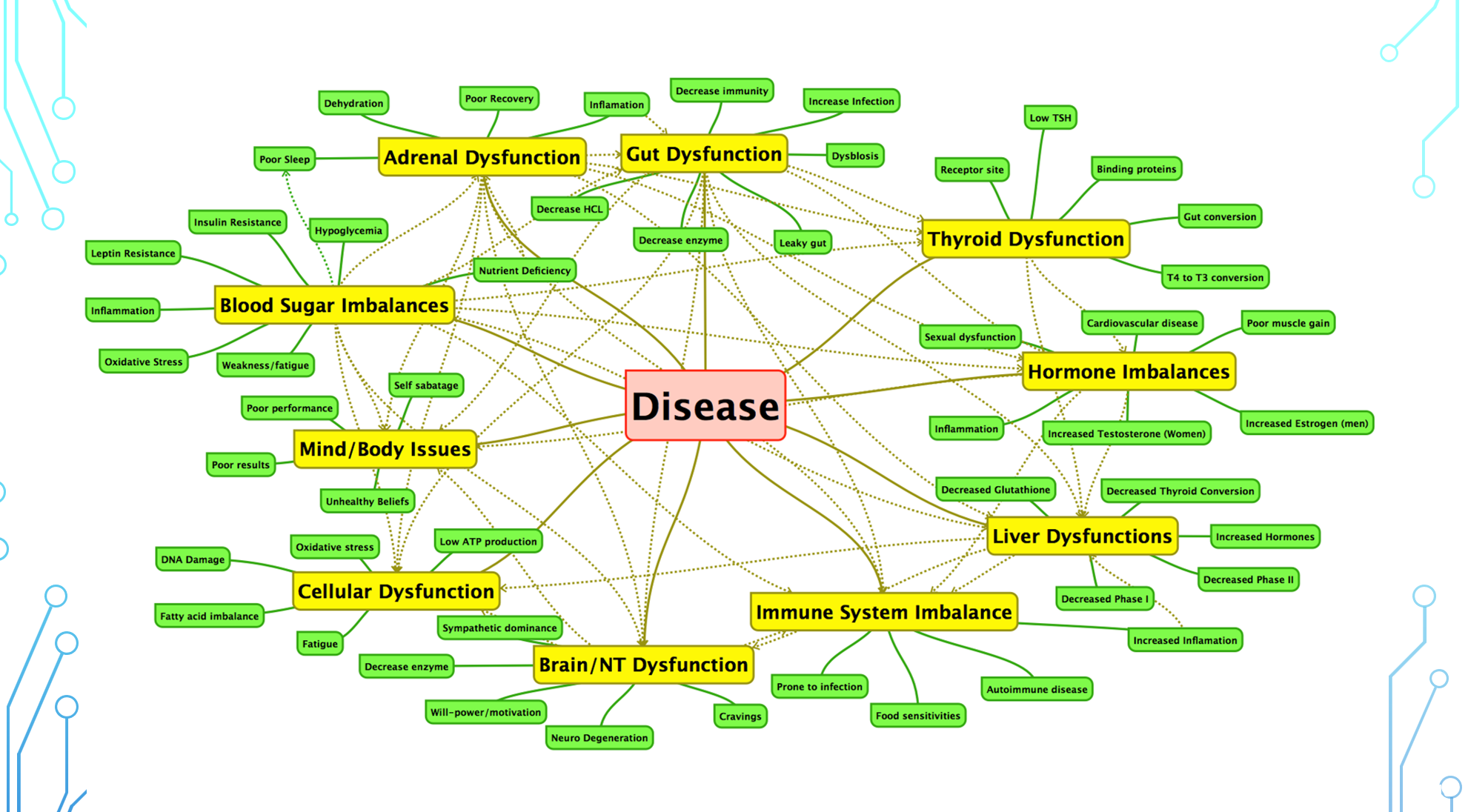 The Foundational Functional Medicine Course The Elite Nurse