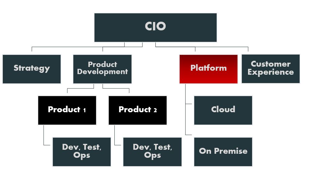 Platform Based Organization