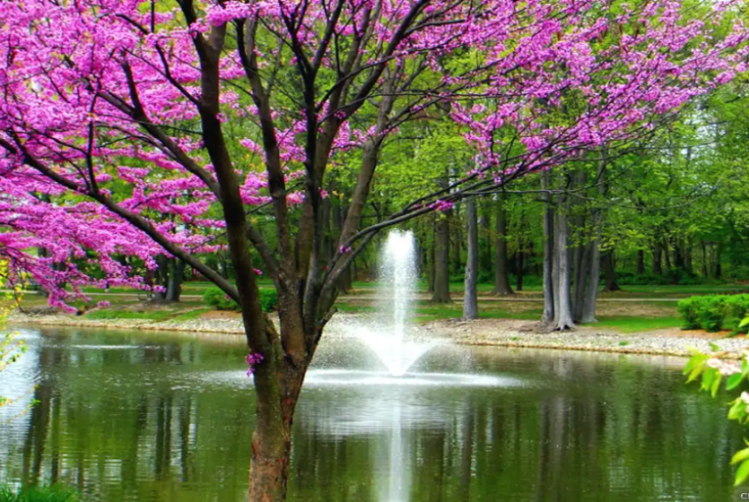2025 Spring -- Debbie Marks