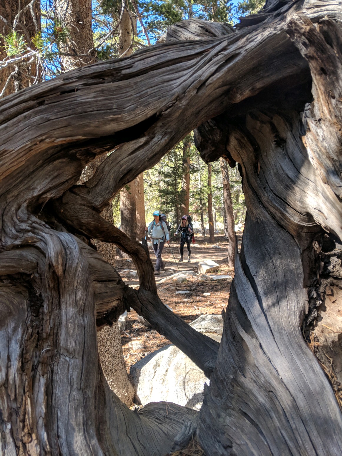 Hiking California