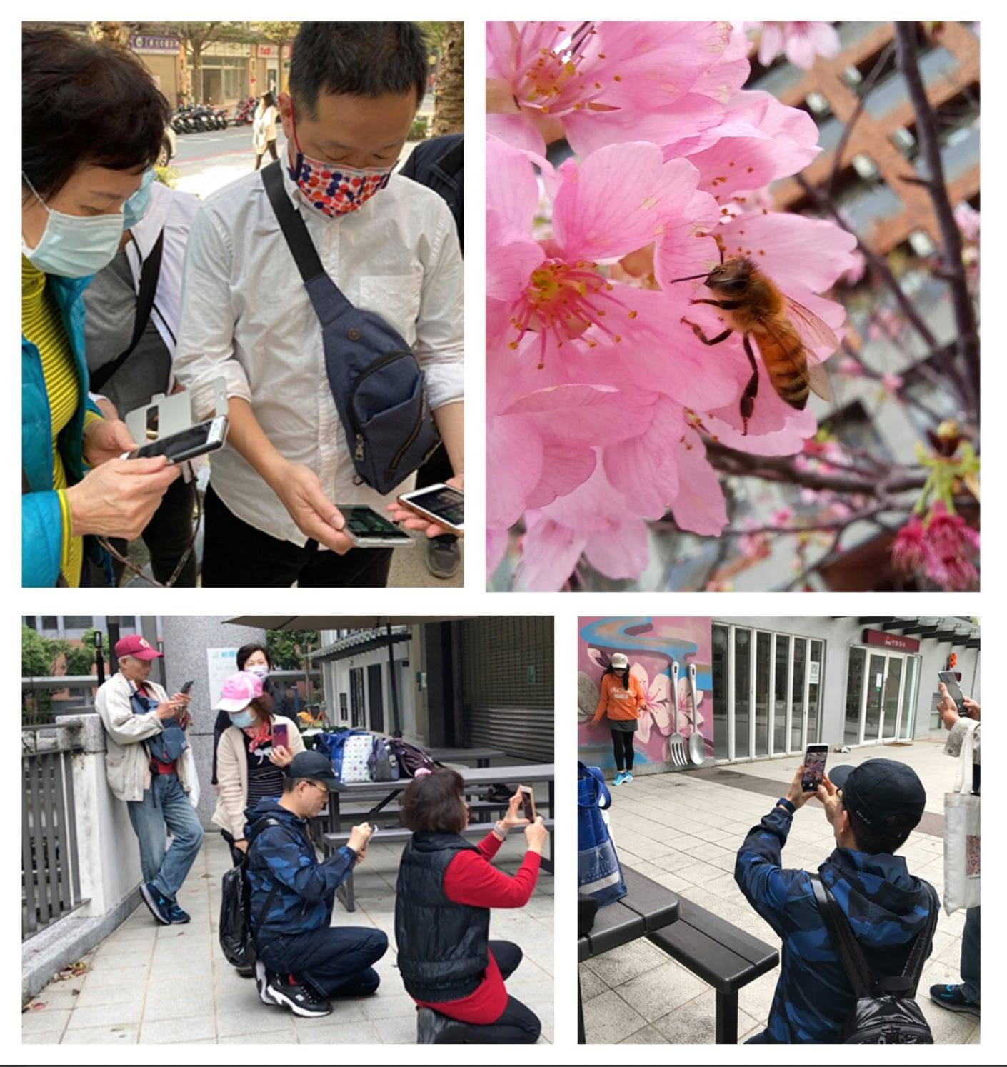 手機攝影手機拍照教學桃園芸芸爸教學