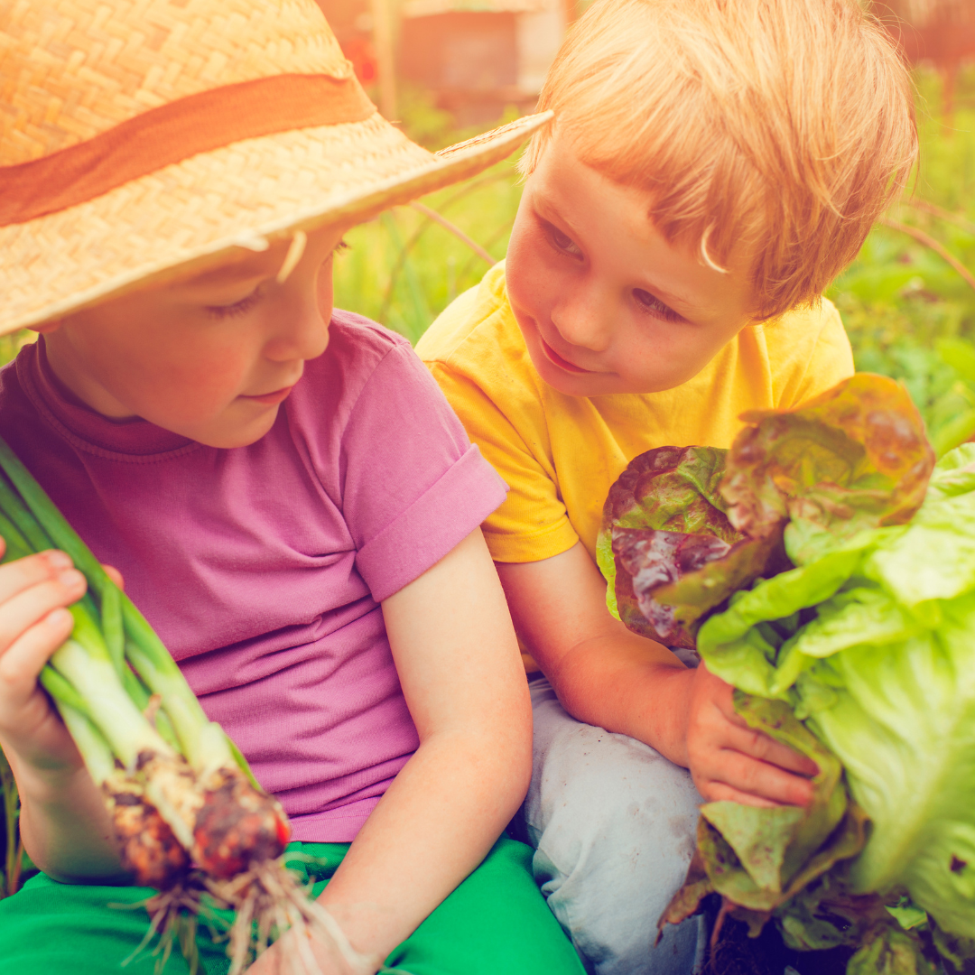 cute children with salad