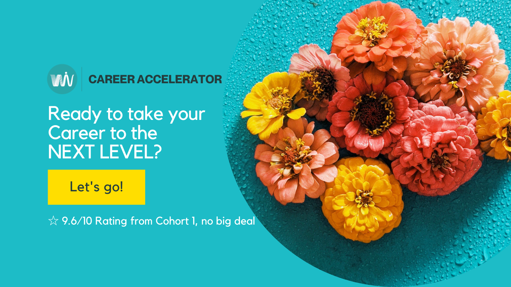WiV Career Accelerator: Ready to take your career to the NEXT LEVEL? 9.6/10 rating from Cohort 1!