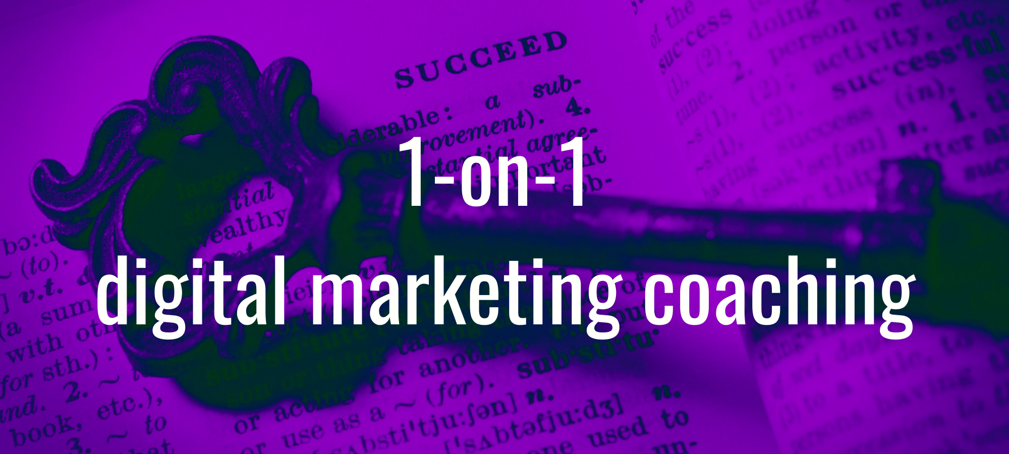 1-on-1 digital marketing coaching & training