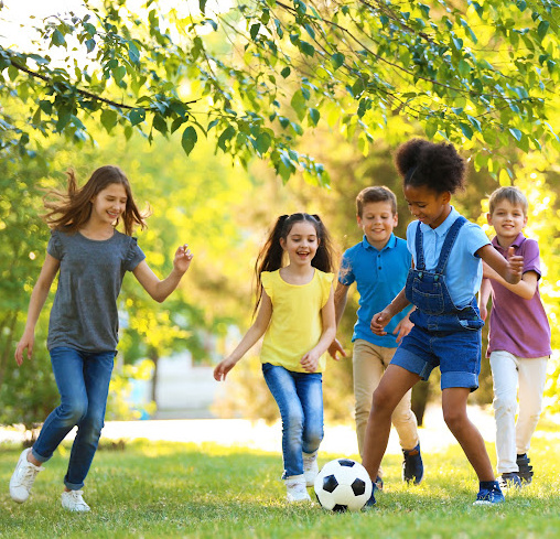 Human Development Course Includes