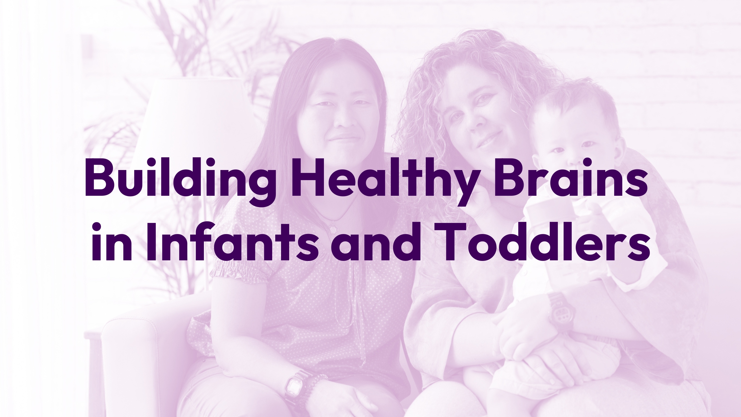 Building Healthy Brains in Infants and Toddlers Webinar