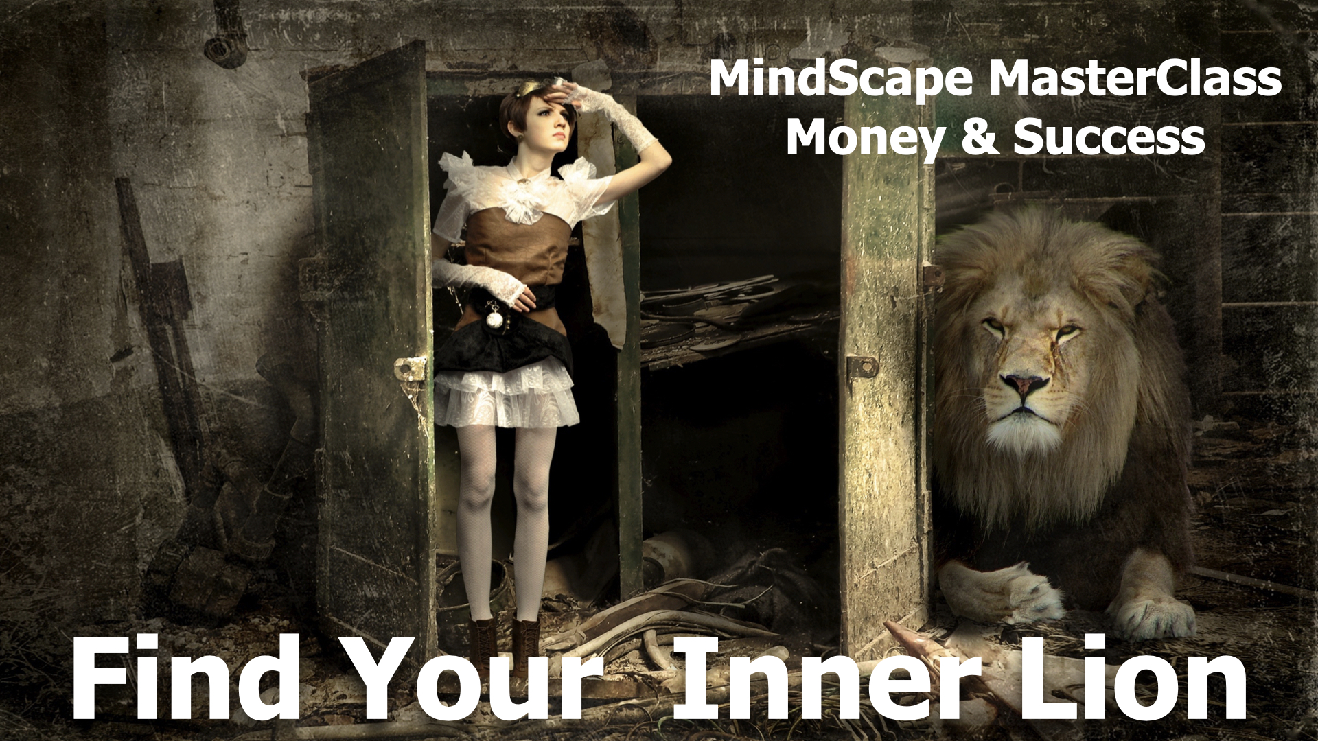 MindScape MasterClass : Money &amp;amp; Success