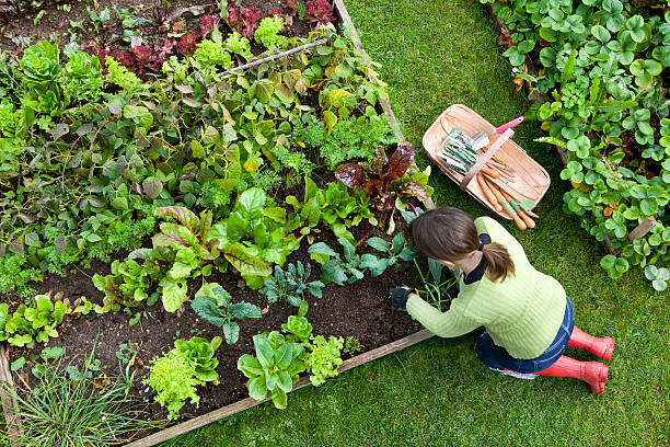 Organic Gardening Made Simple Course