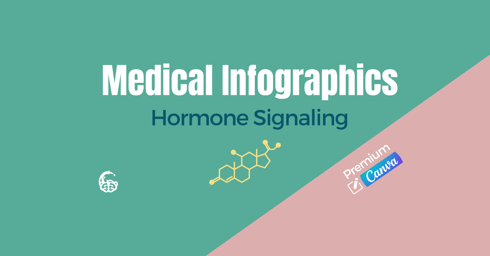 Hormone Signaling Medical Infographics - Premium | Right Brain Rescue