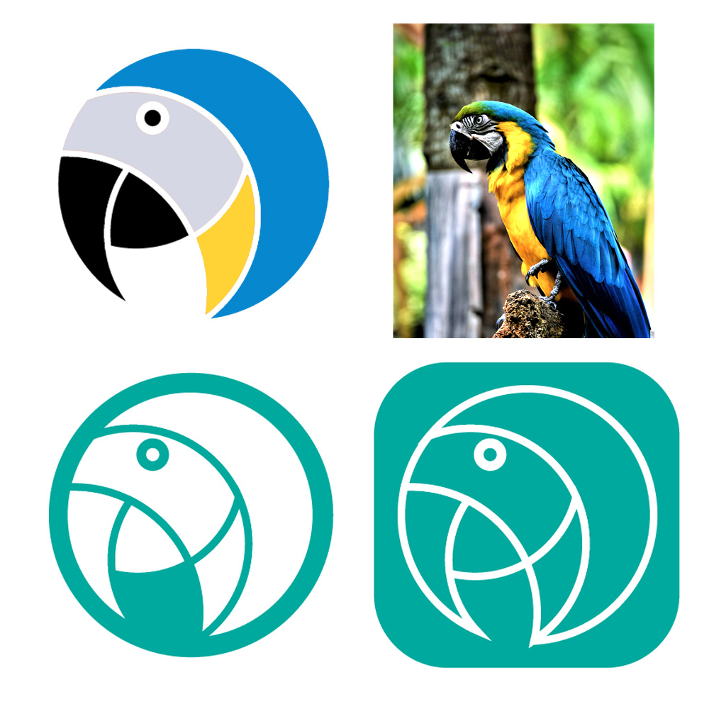 Parrot vectors icons from a photo